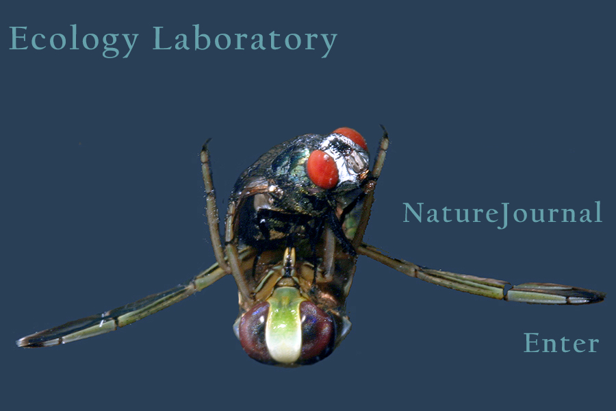  Ecology Laboratory 